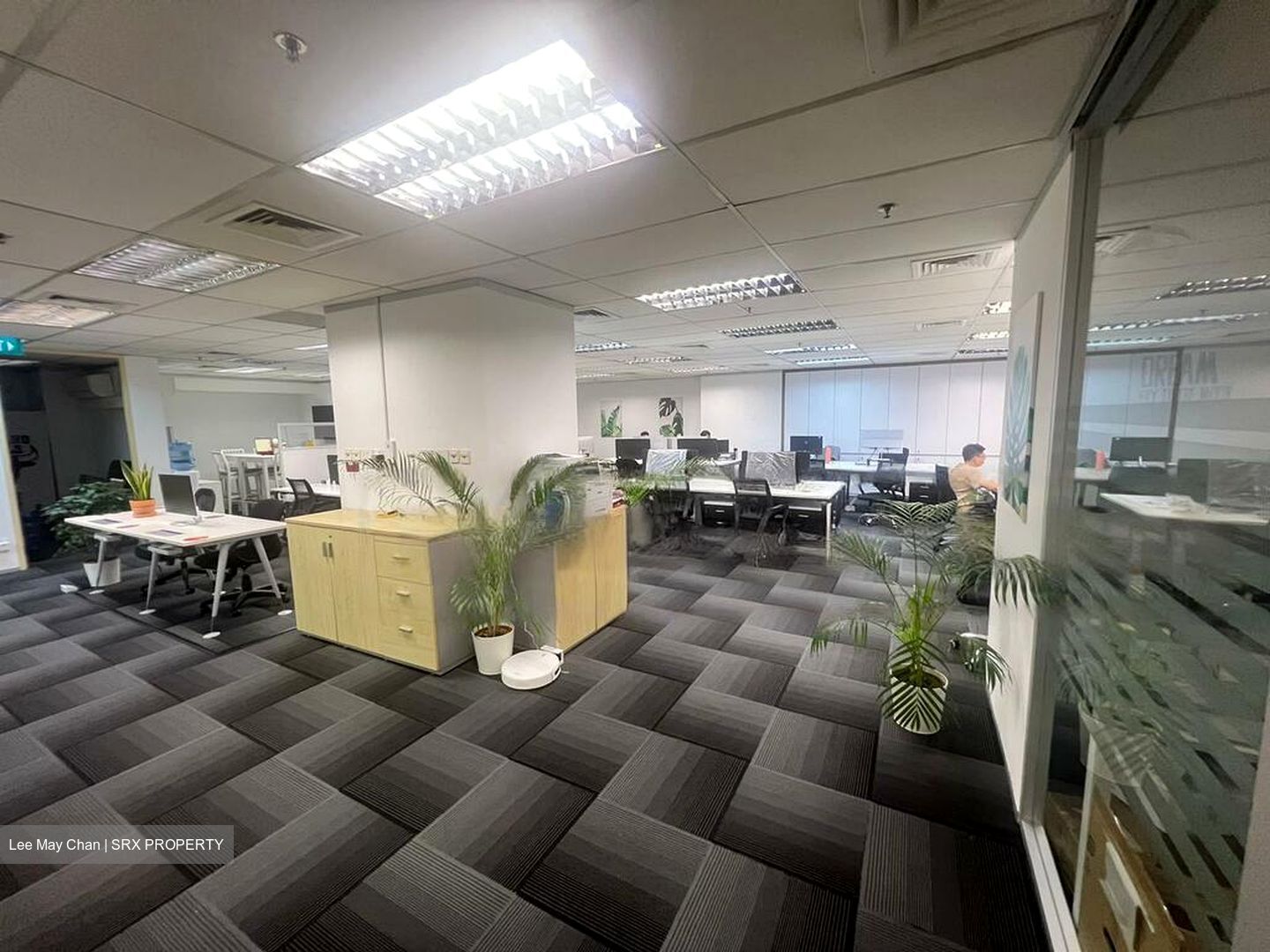 International Plaza (D2), Office #458141111